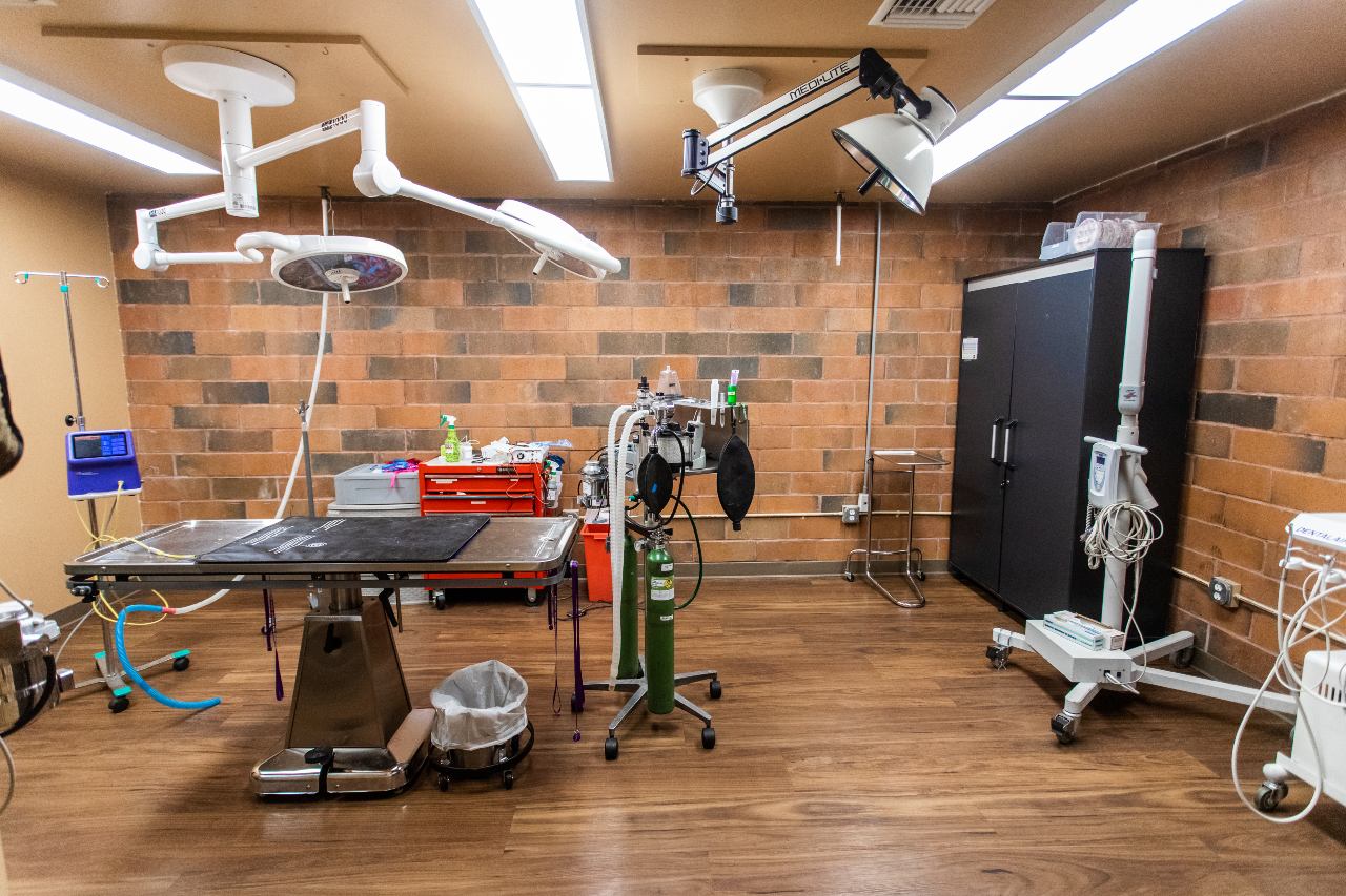 Arroyo Vista Veterinary Hospital Surgery Room