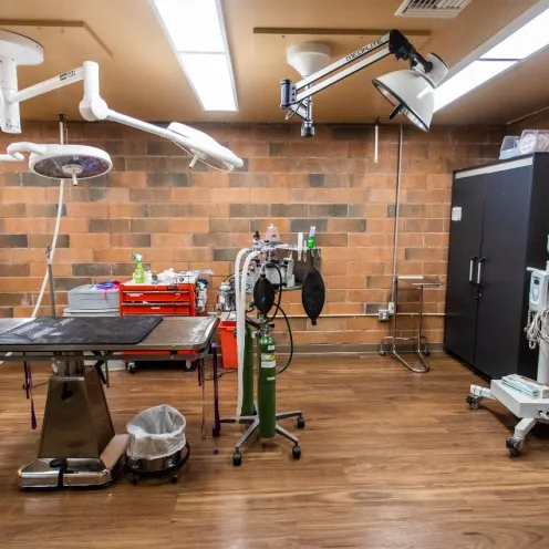 Arroyo Vista Veterinary Hospital Surgery Room