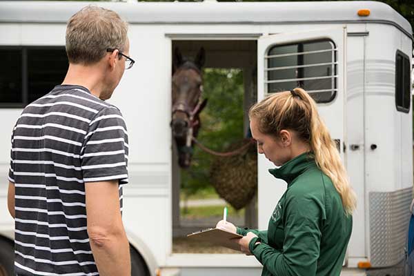 Horse being transported 