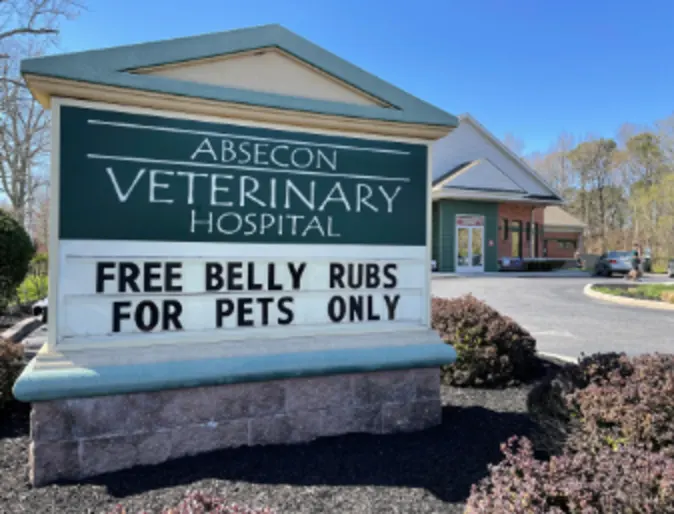 Absecon Veterinary Hospital Exterior