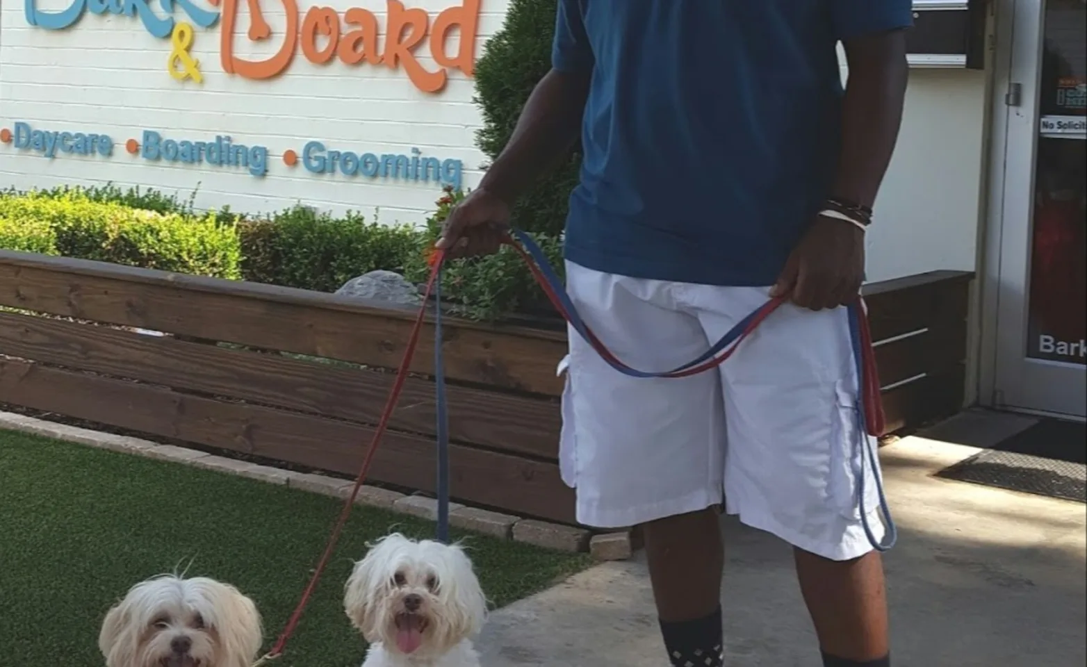 Bark & Board Staff member with two dogs on a leash Bark & Board Staff member with two dogs on a leash