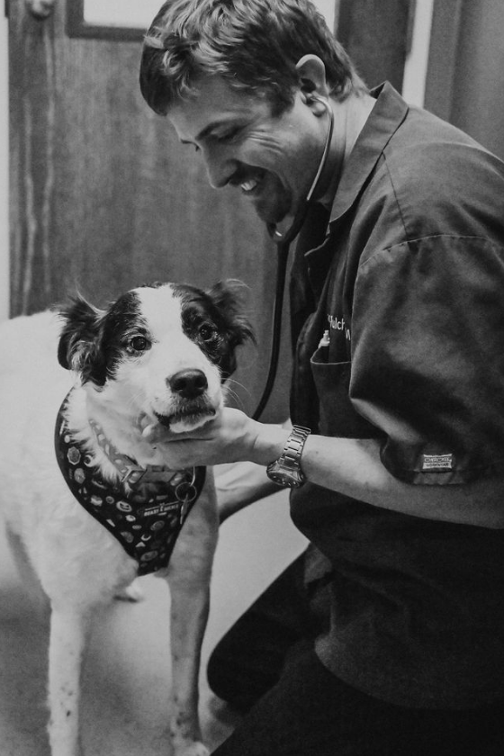 Doctor examining dog