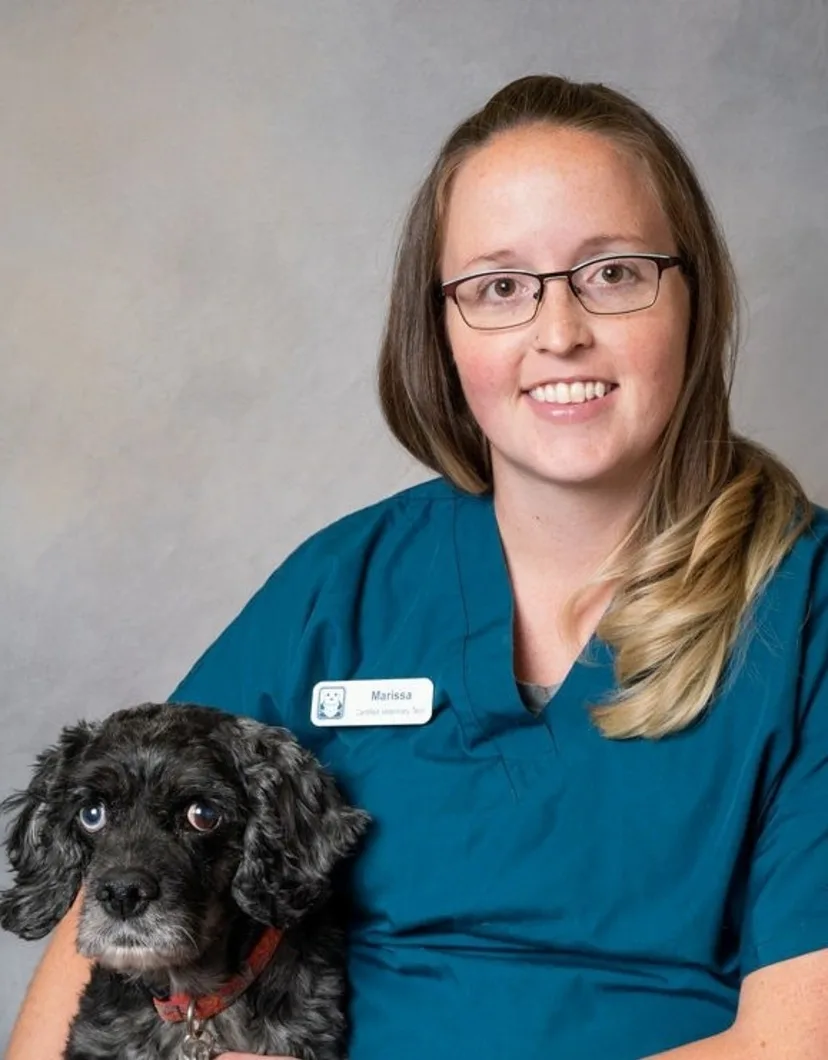 Marissa, Certified Vet Tech at Friendship Hospital for Animals 