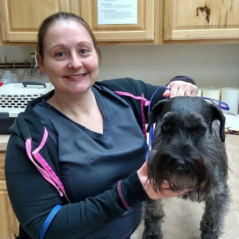 Nicole Hanline Nicole Hanline