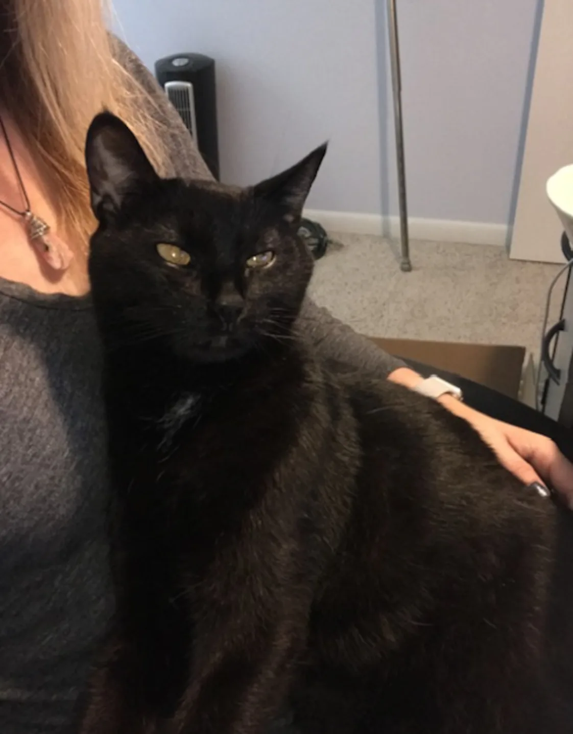 Andy Koester Andy Koester