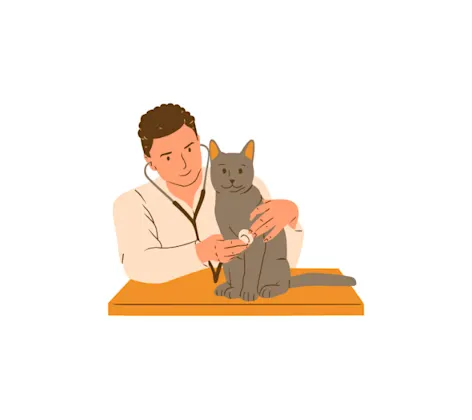 Cartoon Veterinarian Man Examining a Gray Cat Cartoon Veterinarian Man Examining a Gray Cat