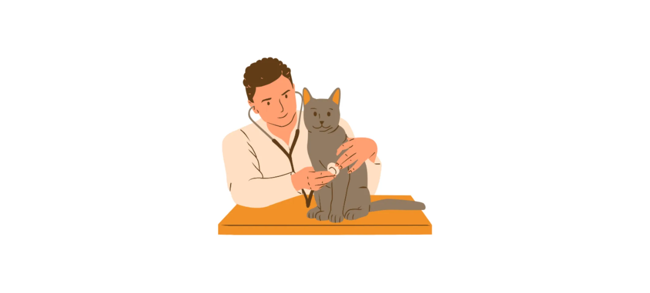 Cartoon Veterinarian Man Examining a Gray Cat Cartoon Veterinarian Man Examining a Gray Cat