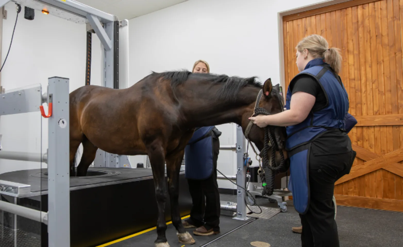 Asto CT at Wisconsin Equine Clinic Asto CT at Wisconsin Equine Clinic