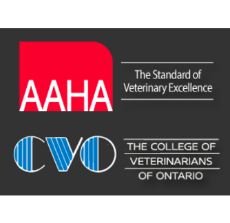 AAHA and CVO Logo AAHA and CVO Logo
