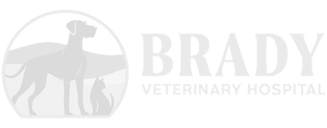Brady Veterinary Hospital Logo
