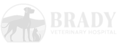 Brady Veterinary Hospital Logo Brady Veterinary Hospital Logo