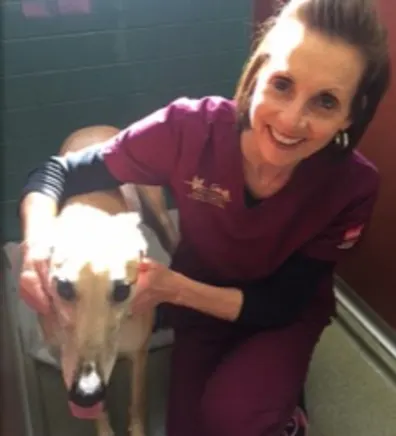 Colleen N. from Princeton Animal Hospital & Carnegie Cat Clinic Colleen N. from Princeton Animal Hospital & Carnegie Cat Clinic