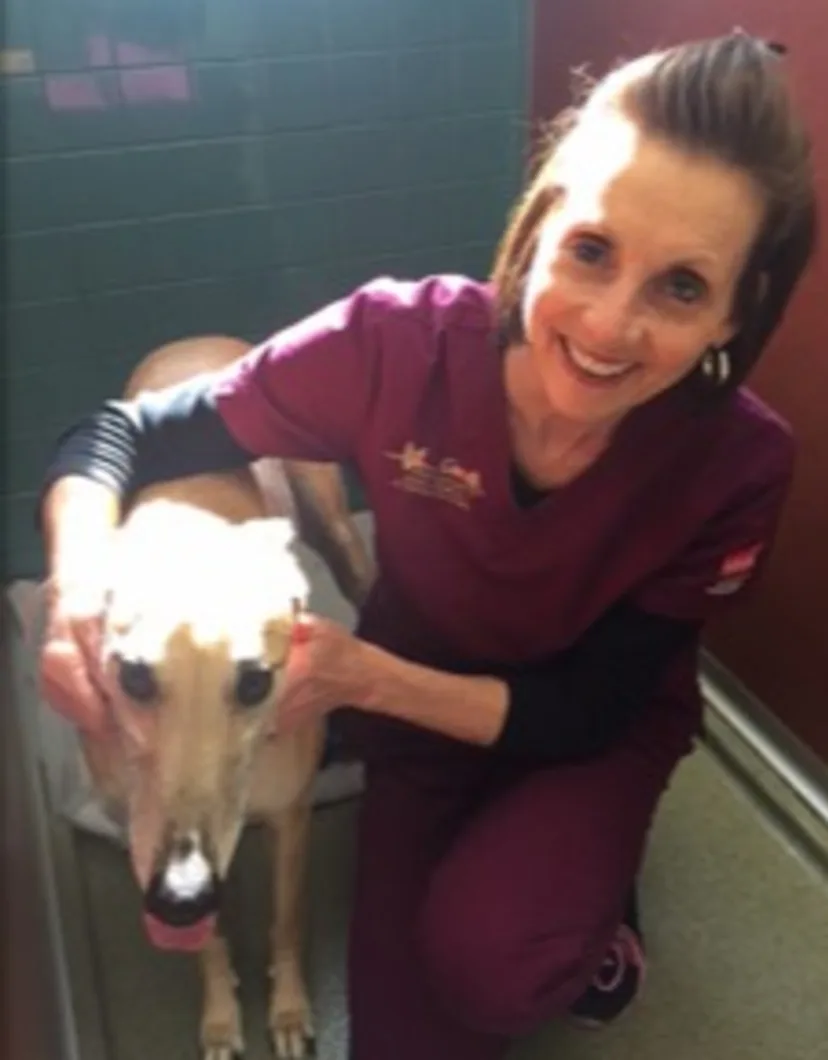 Colleen N. from Princeton Animal Hospital & Carnegie Cat Clinic