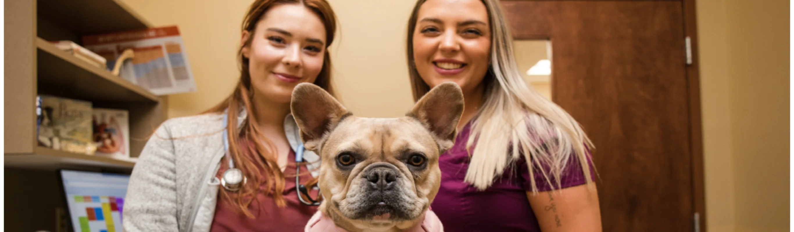 Two staff members posing with pug 