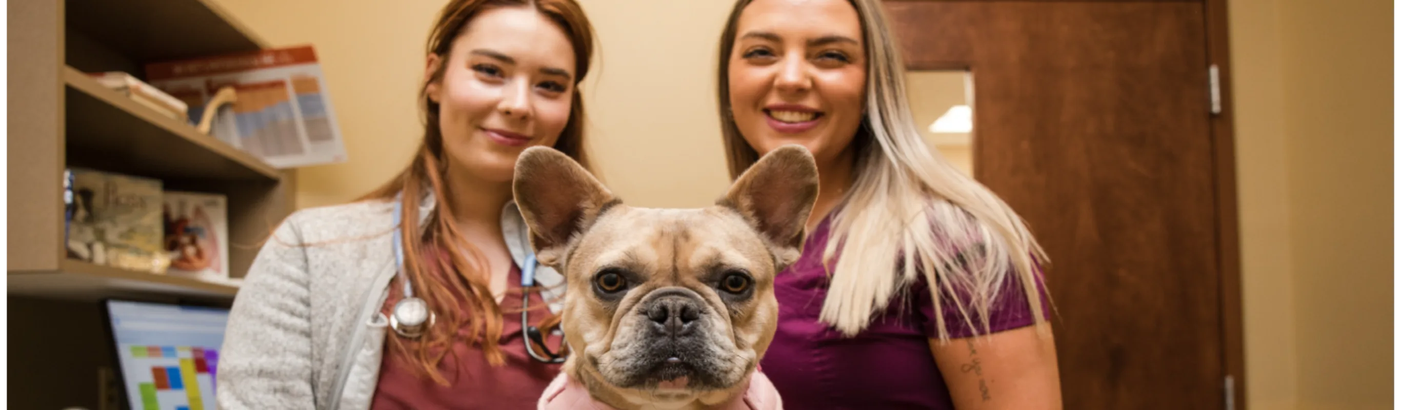 Two staff members posing with pug Two staff members posing with pug