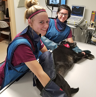Nurses with dog on examination table.