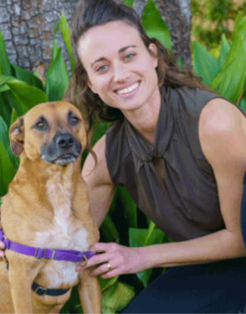 Adi Chatow Metairie Small Animal Hospital (MSAH)