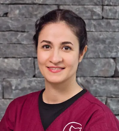 A portrait photo of Soheila A portrait photo of Soheila