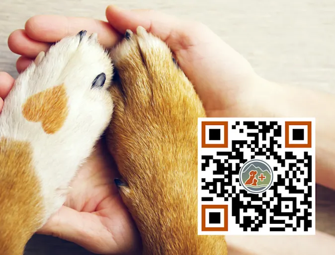 Supporting Our Veterinary Family (QR Code) Supporting Our Veterinary Family (QR Code)