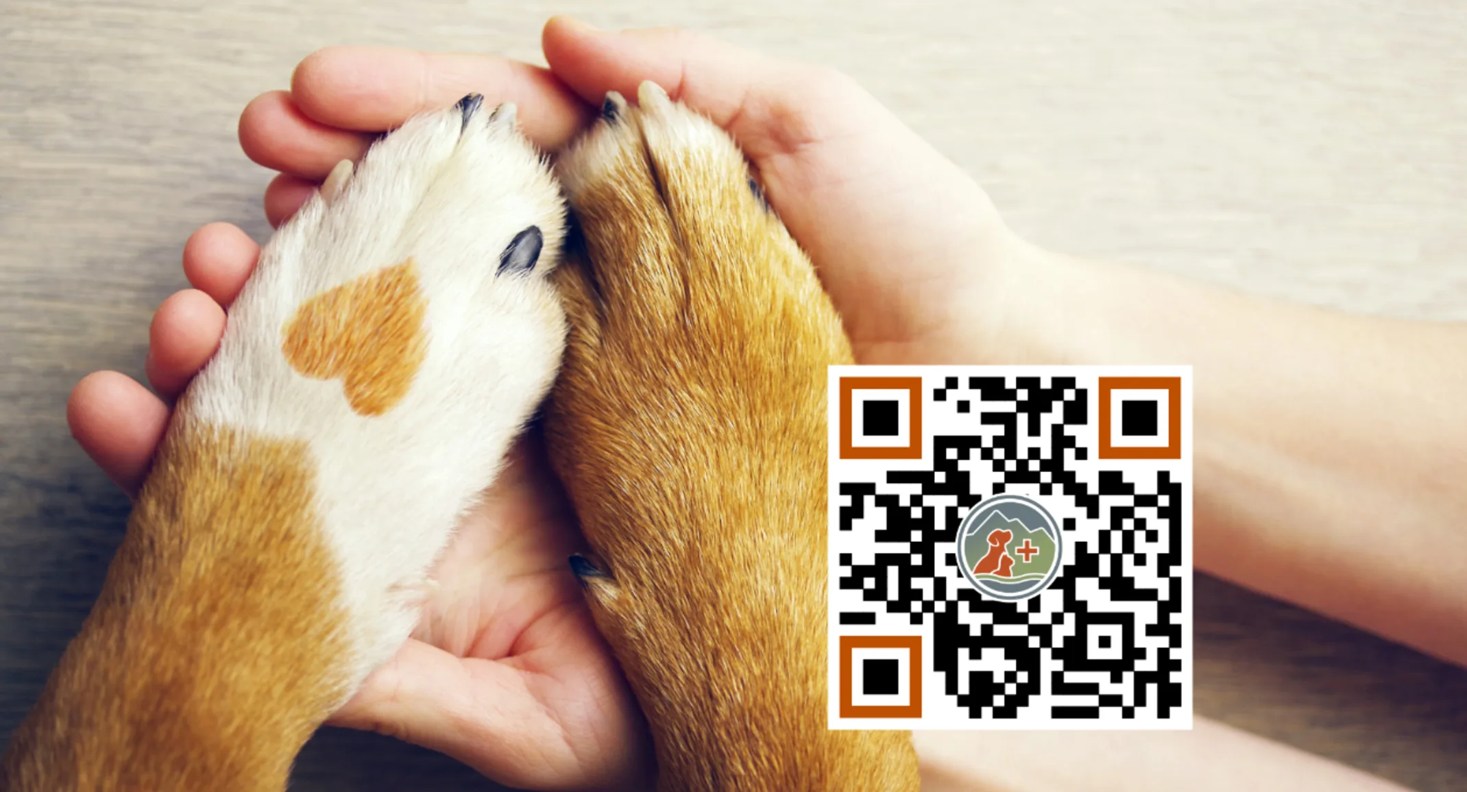 Supporting Our Veterinary Family (QR Code) Supporting Our Veterinary Family (QR Code)
