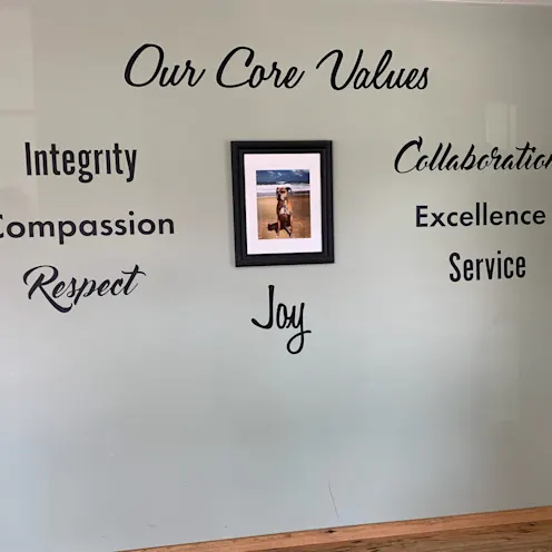 Gallery | Waterville Veterinary Clinic