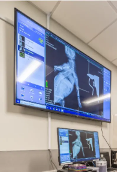 Images of radiography Images of radiography