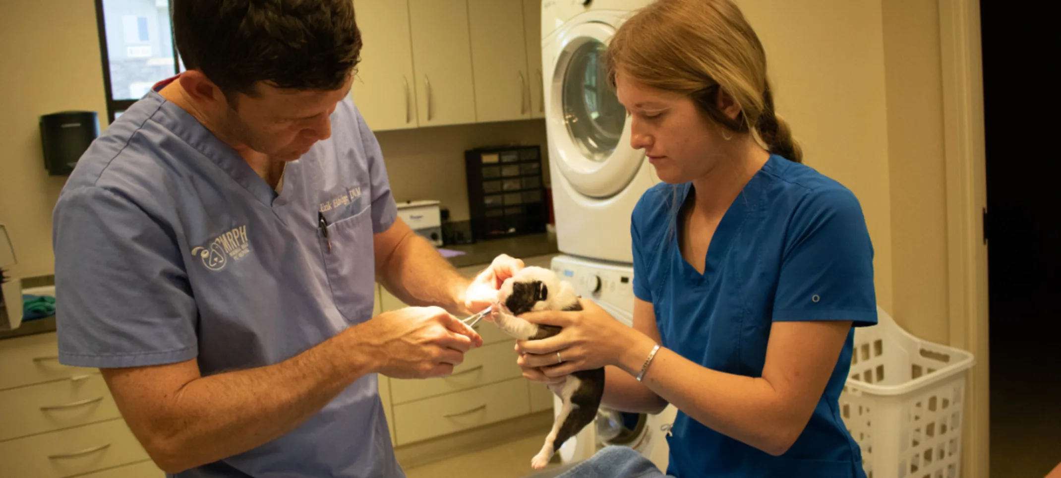 two veterinarian staff members operate on a puppy 