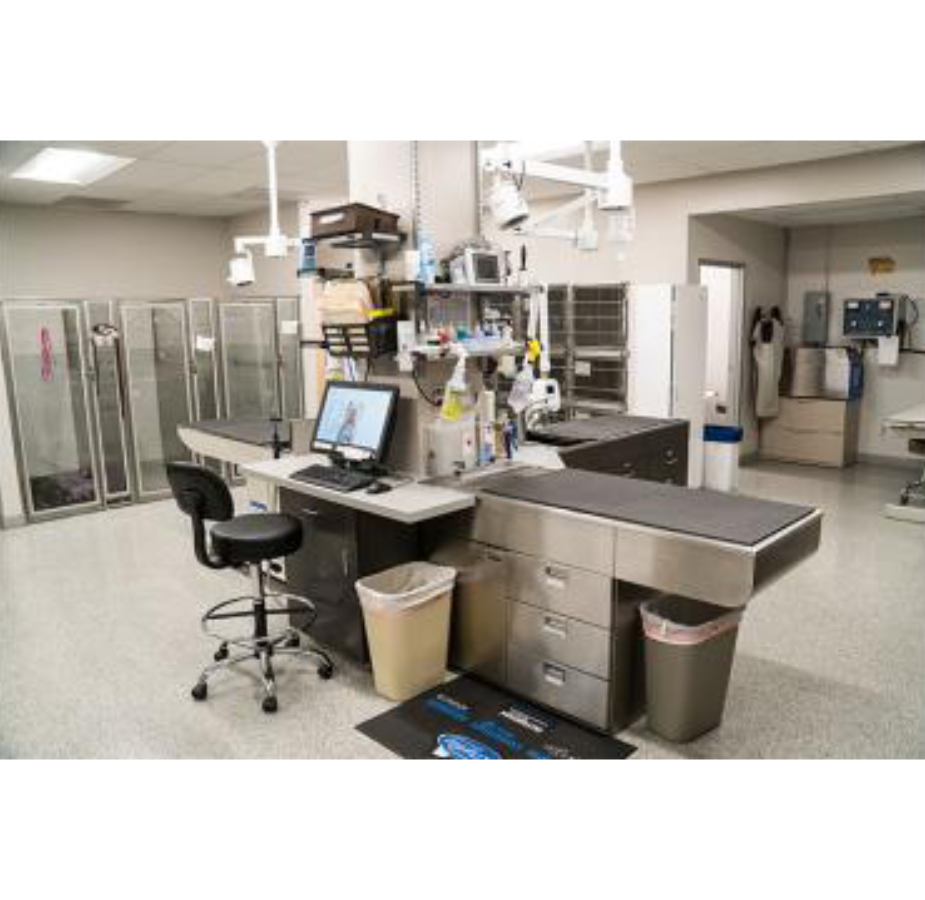 Medical Station in Anaheim Hills Pet Clinic