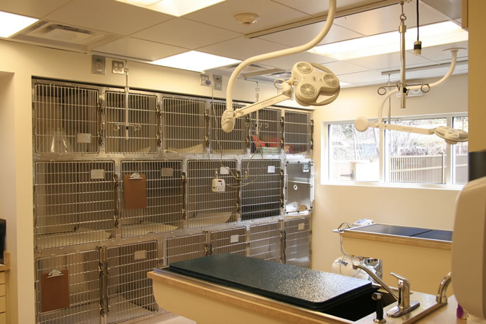 Montville Veterinary Group Kennels