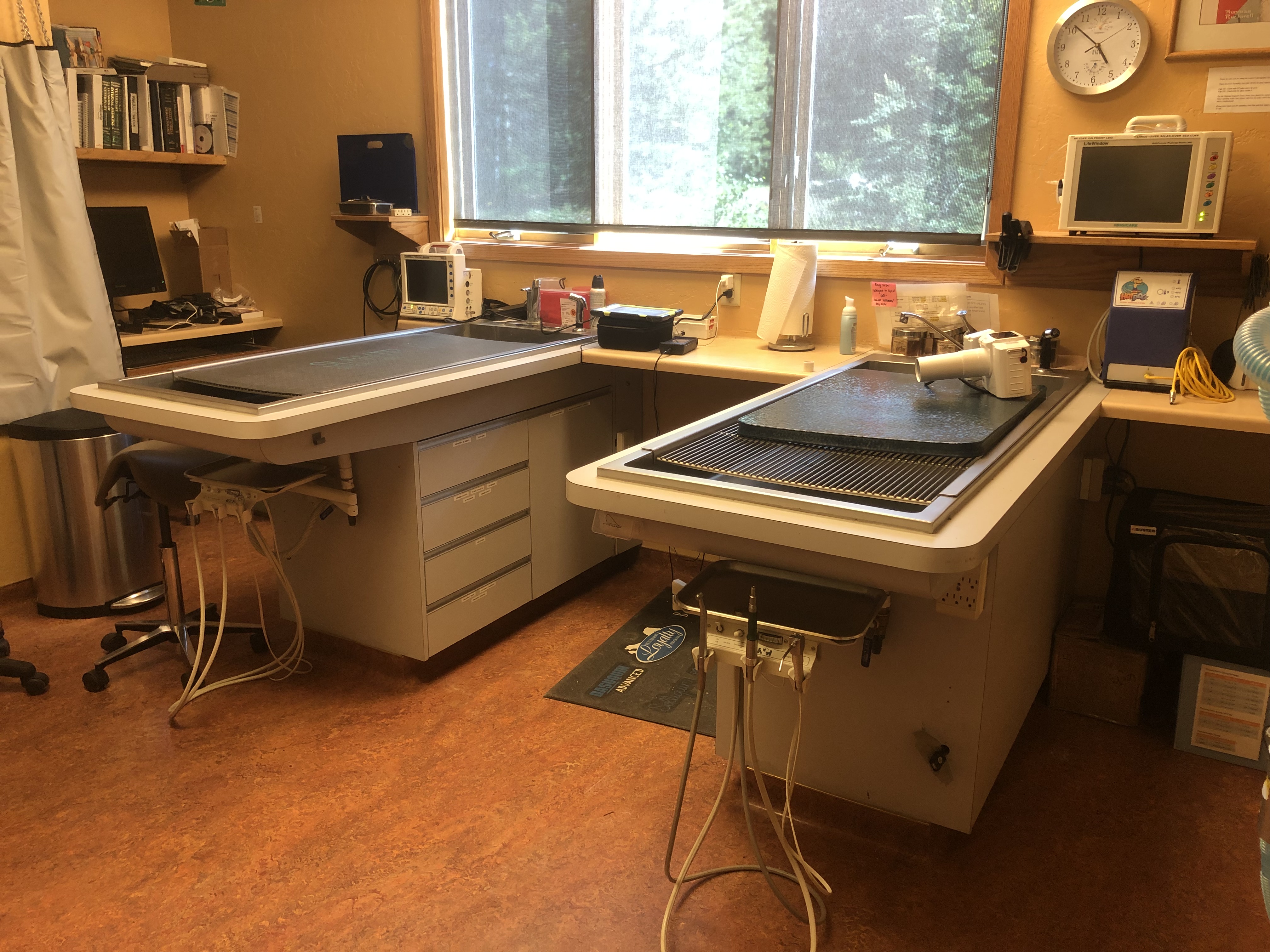 Double exam room at Frisco Animal Hospital with two tables and exam areas