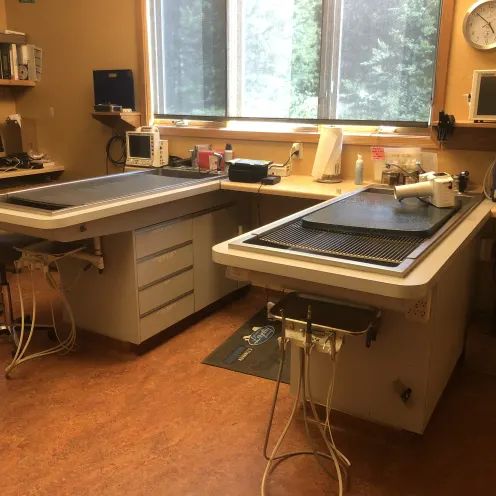 Double exam room at Frisco Animal Hospital with two tables and exam areas