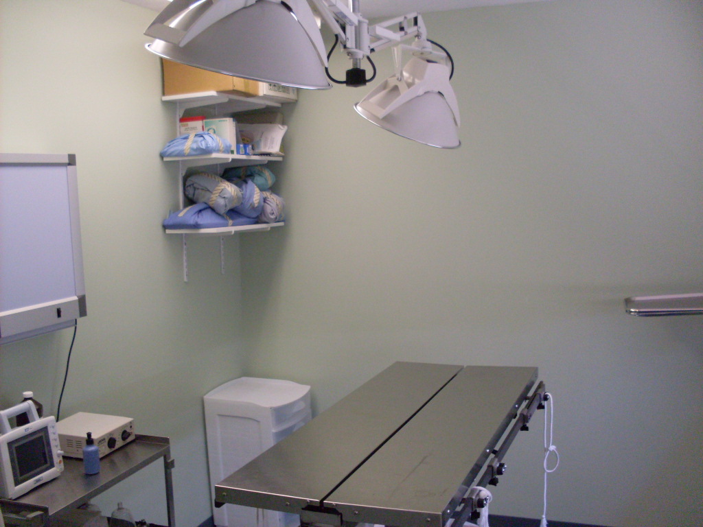Inside the exam room at the Mentor Animal Hospital 