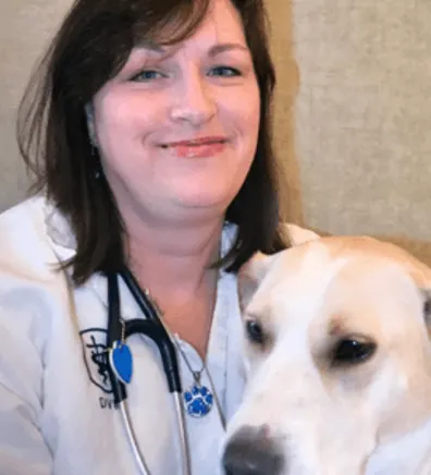 Dr. Susan Mohler Dr. Susan Mohler