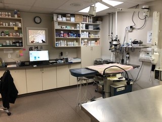 St. George Hunt Memorial Veterinary Hospital Dental Area