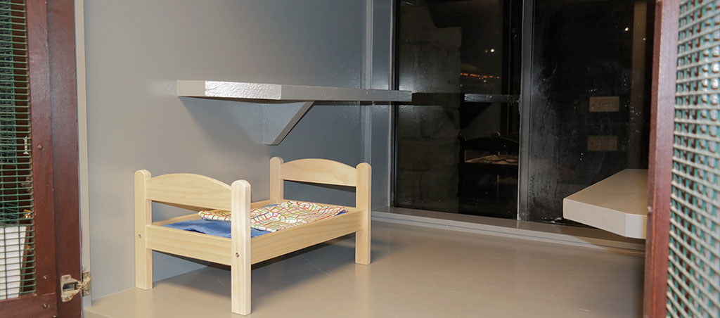 Happy Tails Pet Resort Cat Condos 