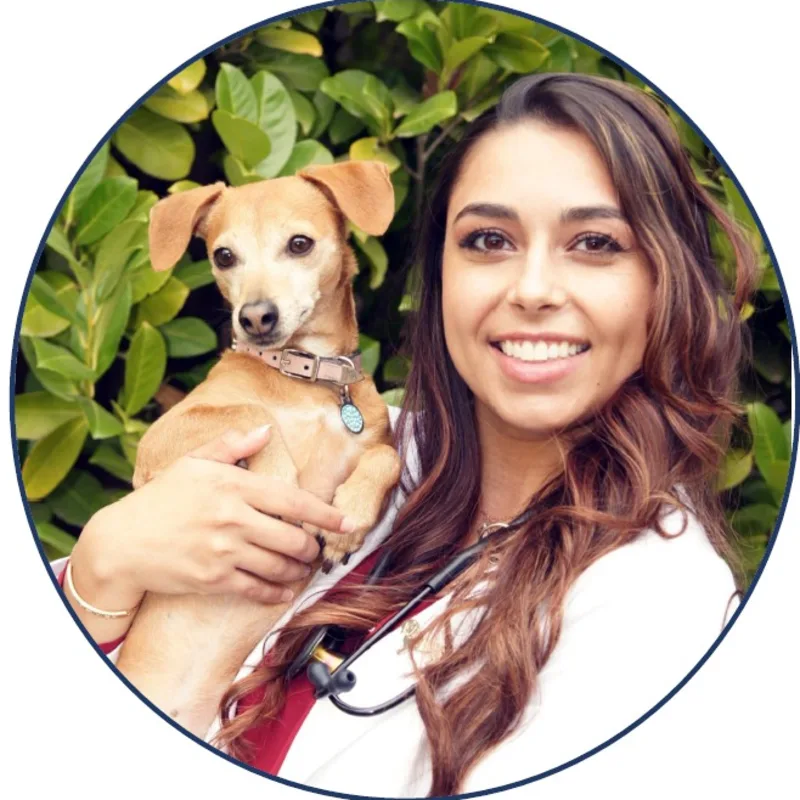 Kamira Schimchak Kamira Schimchak