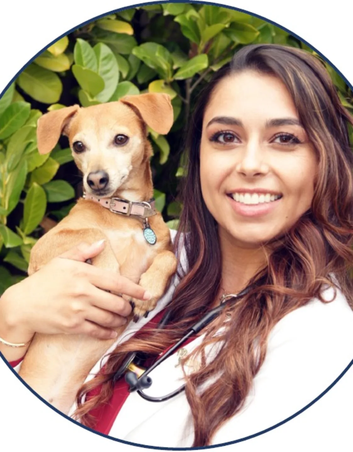 Kamira Schimchak Kamira Schimchak