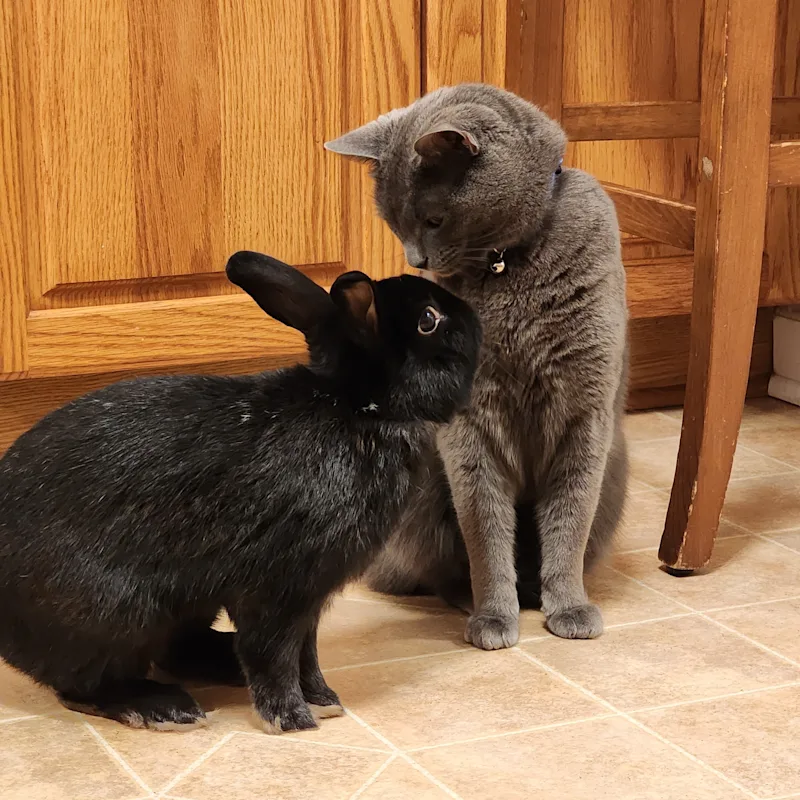 Monster Zero & Fisher Monster Zero & Fisher