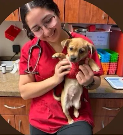 Gigi Munoz Gigi Munoz