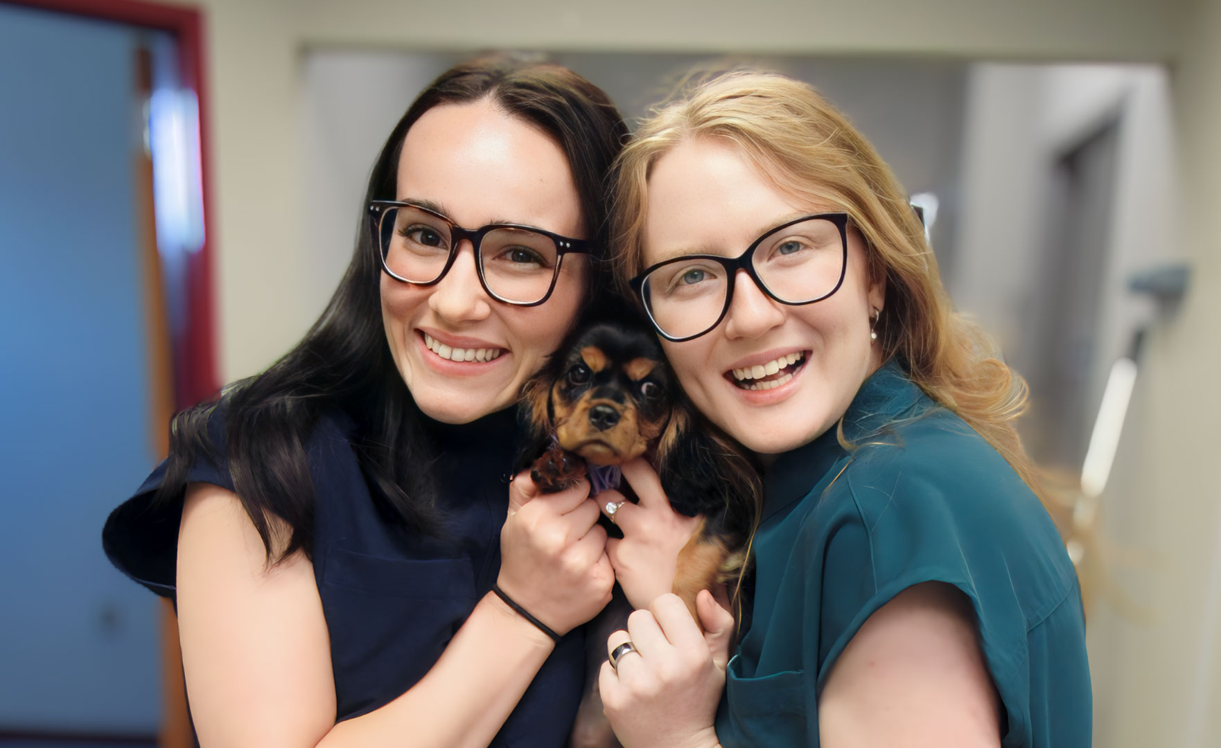 Two smiling women holding a small black-and-tan Cavalier King Charles Spaniel puppy between them