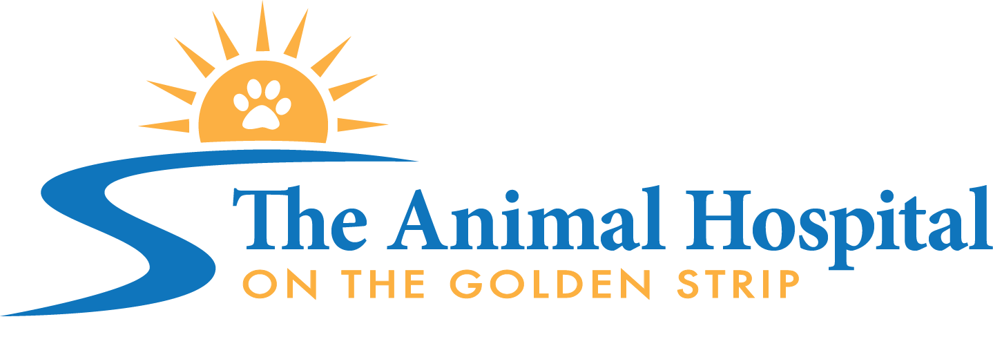 ALLYDVM Pet Medical Records | The Animal Hospital on the Golden Strip