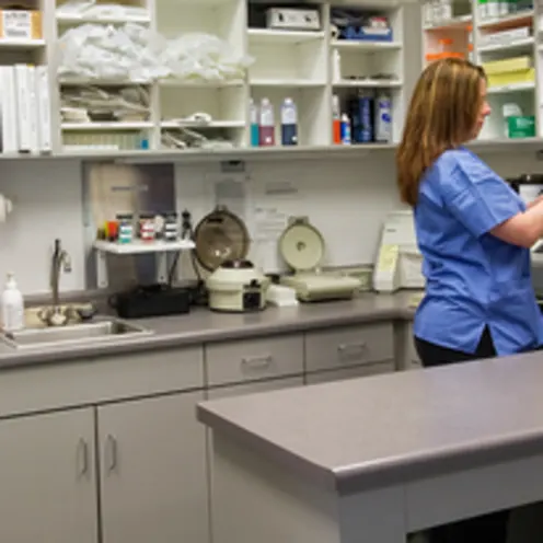 Veterinary Technician at work Veterinary Technician at work