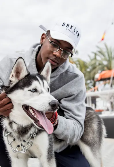 man petting husky on the board walk man petting husky on the board walk