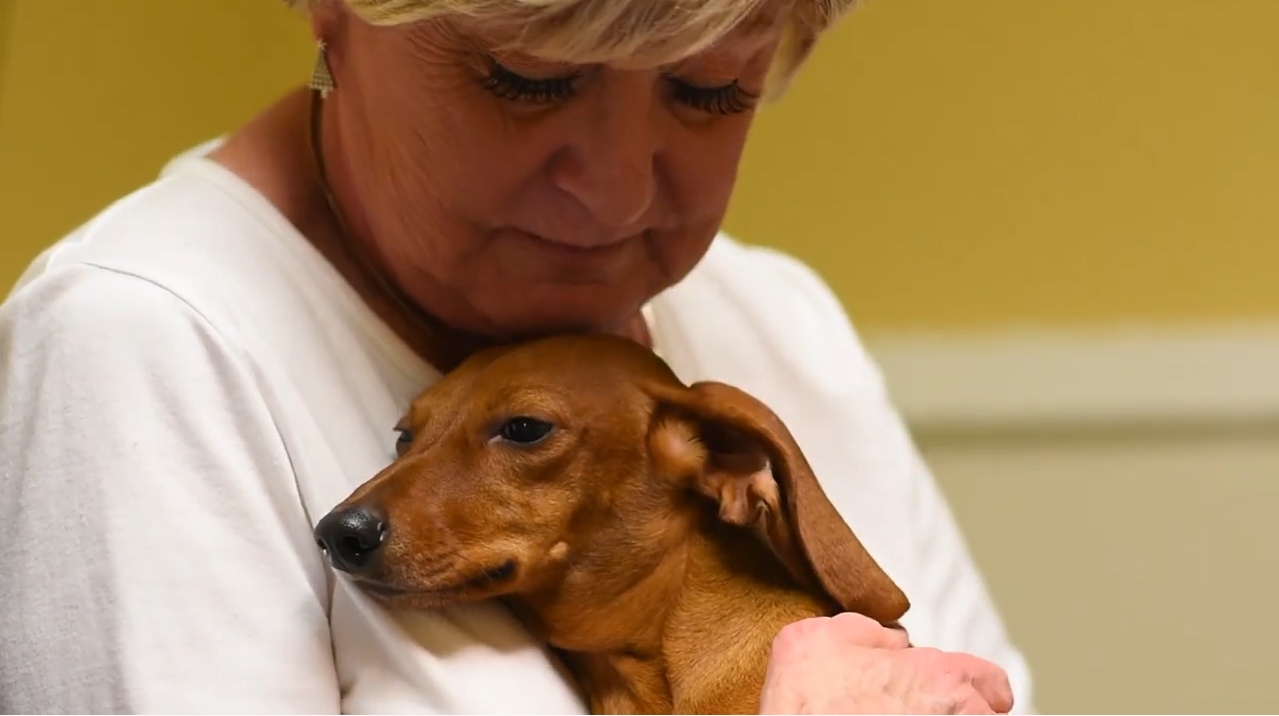 Woman embracing small dog.