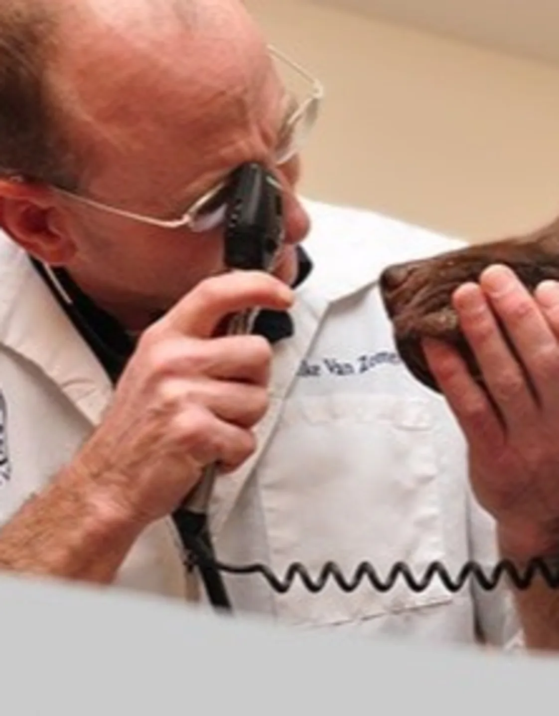 Dr. Mike Van Zomeren giving an exam to a dog Dr. Mike Van Zomeren giving an exam to a dog