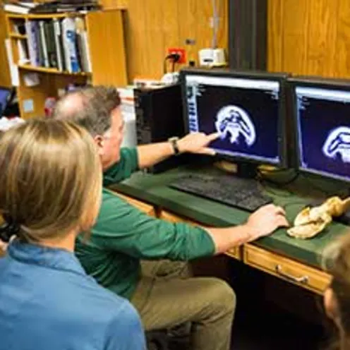 Interns at Virginia Imaging Equine at training Interns at Virginia Imaging Equine at training