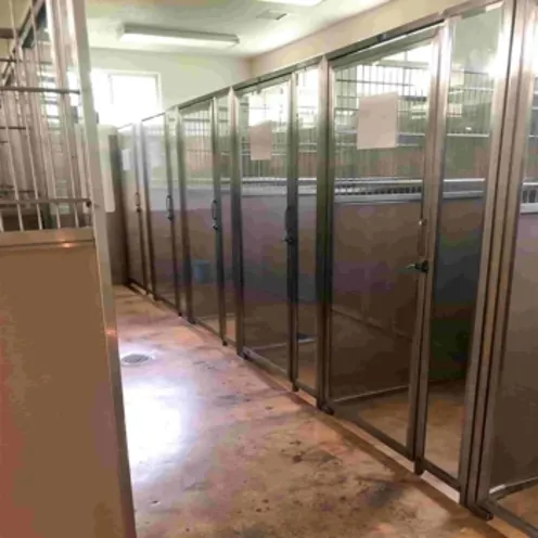 Several of the boarding kennels at Shady Brook Animal Hospital