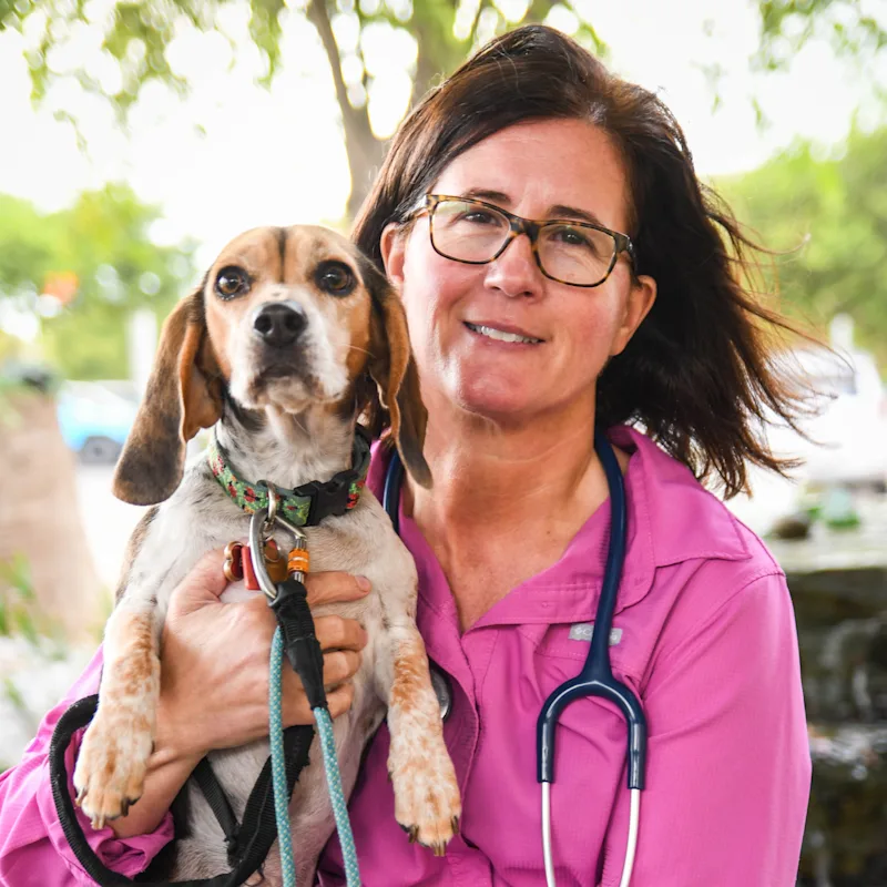 Dr. Lisa J. Willis Dr. Lisa J. Willis