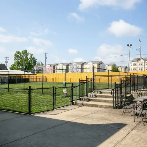Uptown Hounds Back Yard which consists of different playground areas for your dog.