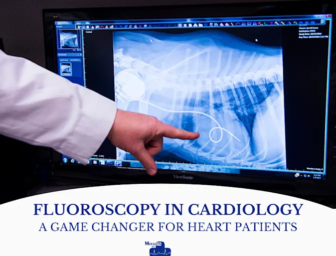 Mission Veterinary Emergency & Specialty fluoroscopy Mission Veterinary Emergency & Specialty fluoroscopy